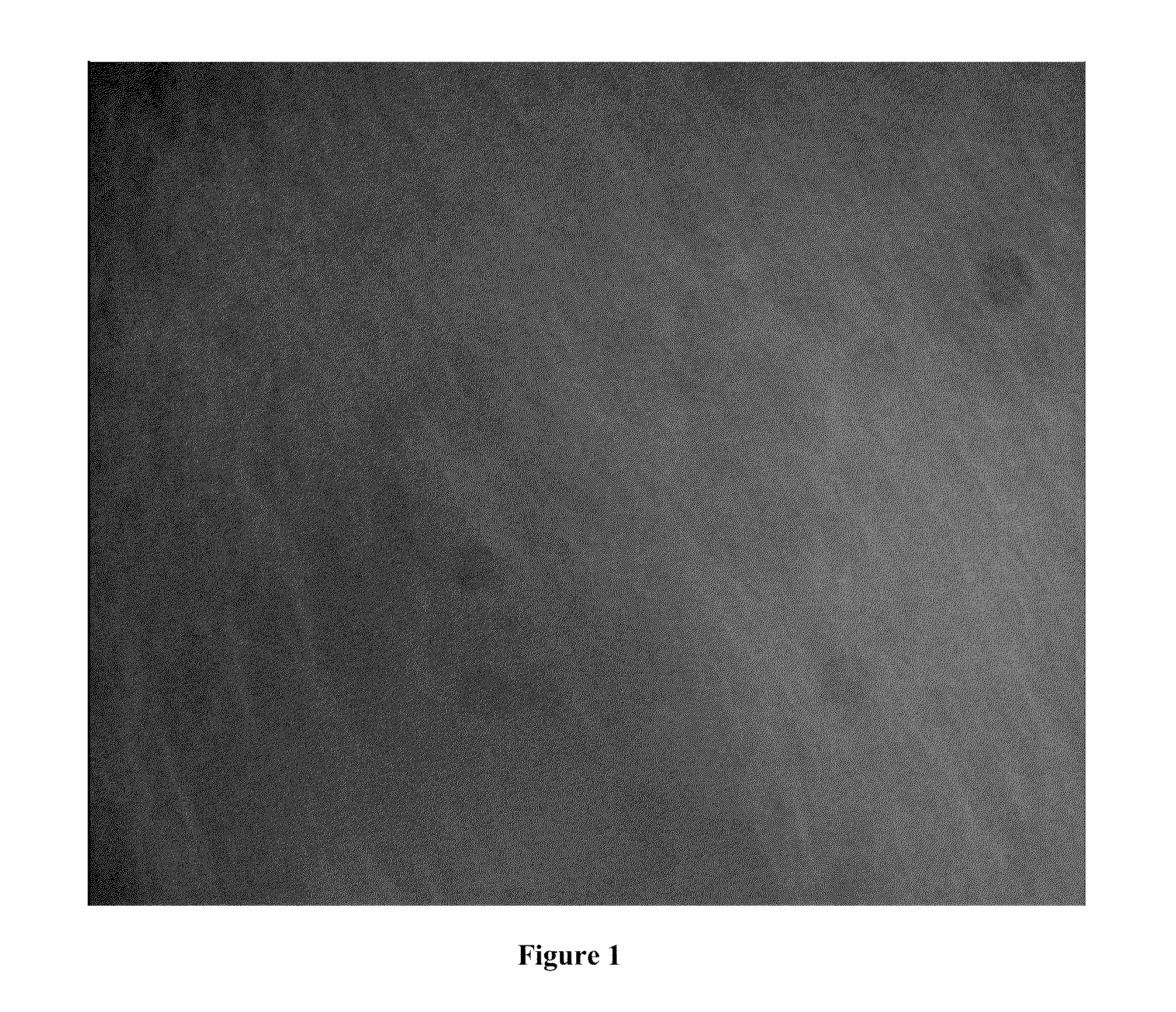 Nanoparticle Based Therapy for Dispersing Mucin