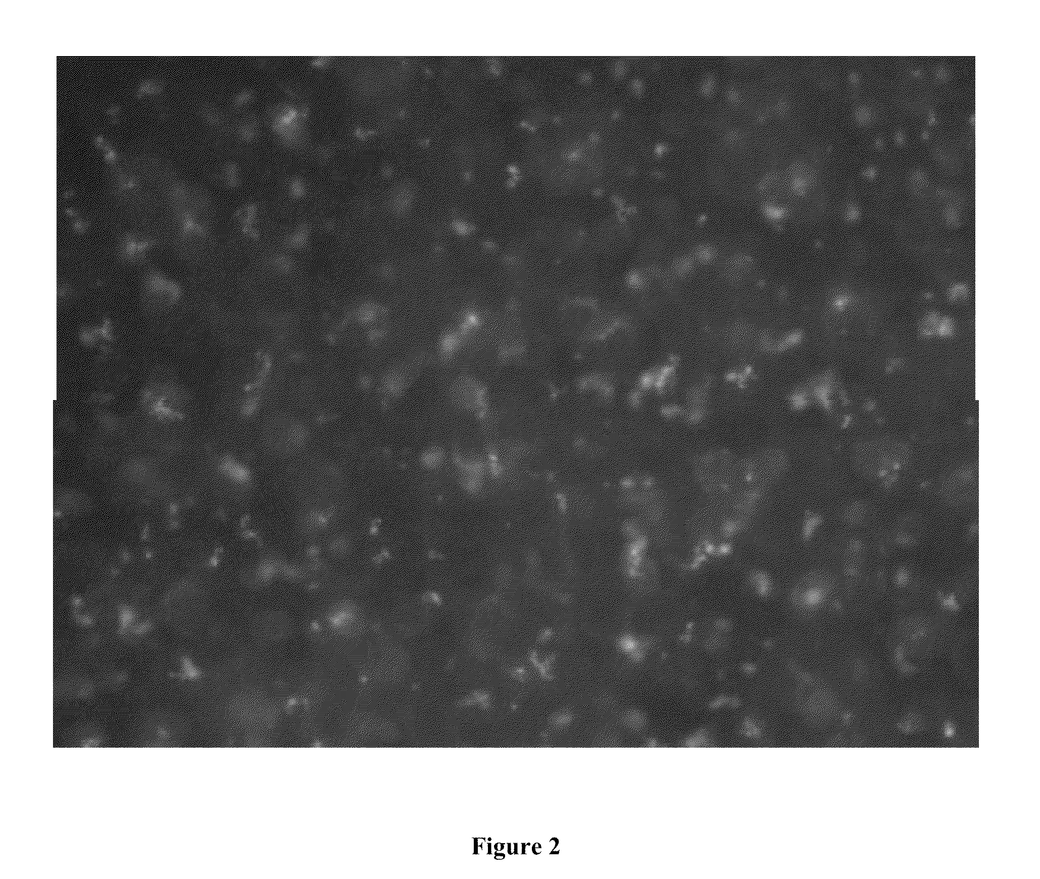 Nanoparticle Based Therapy for Dispersing Mucin