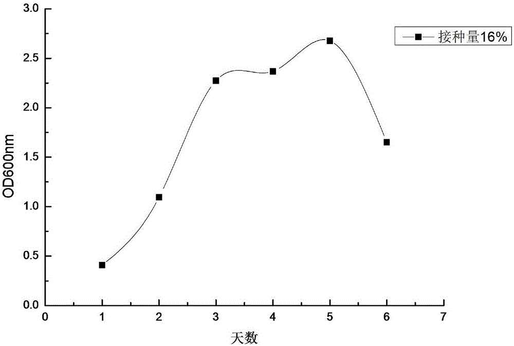 Bacterial strain capable of rapidly degrading nitrogen in sewage, and applications of bacterial strain