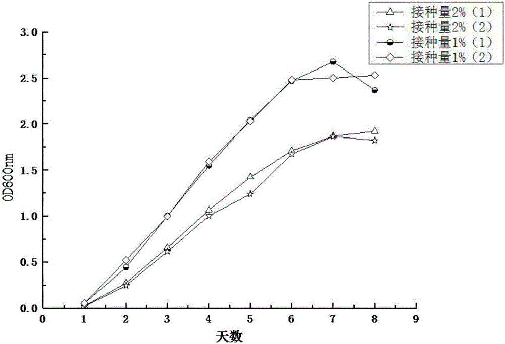 Bacterial strain capable of rapidly degrading nitrogen in sewage, and applications of bacterial strain