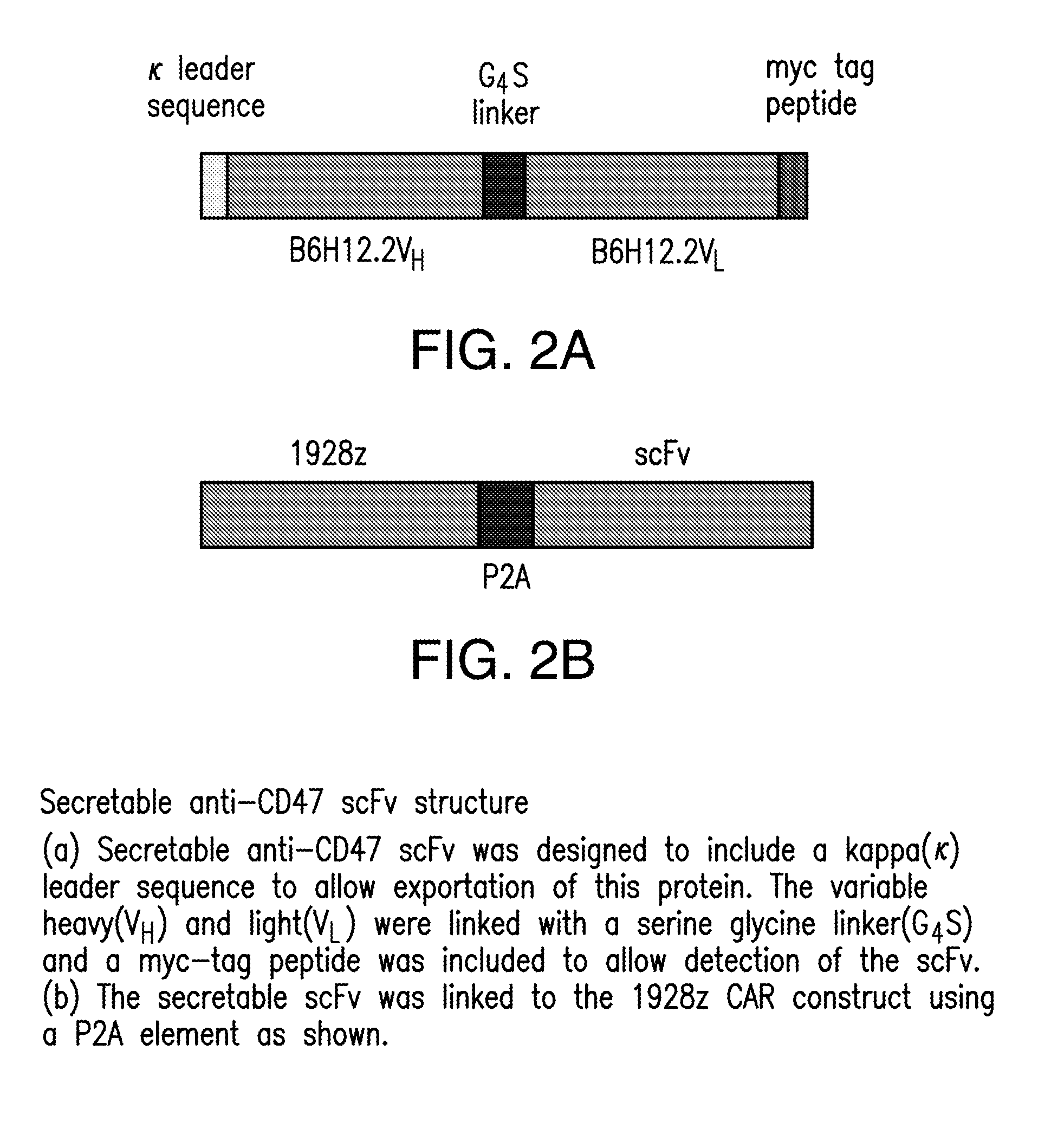 Compositions and methods for immunotherapy