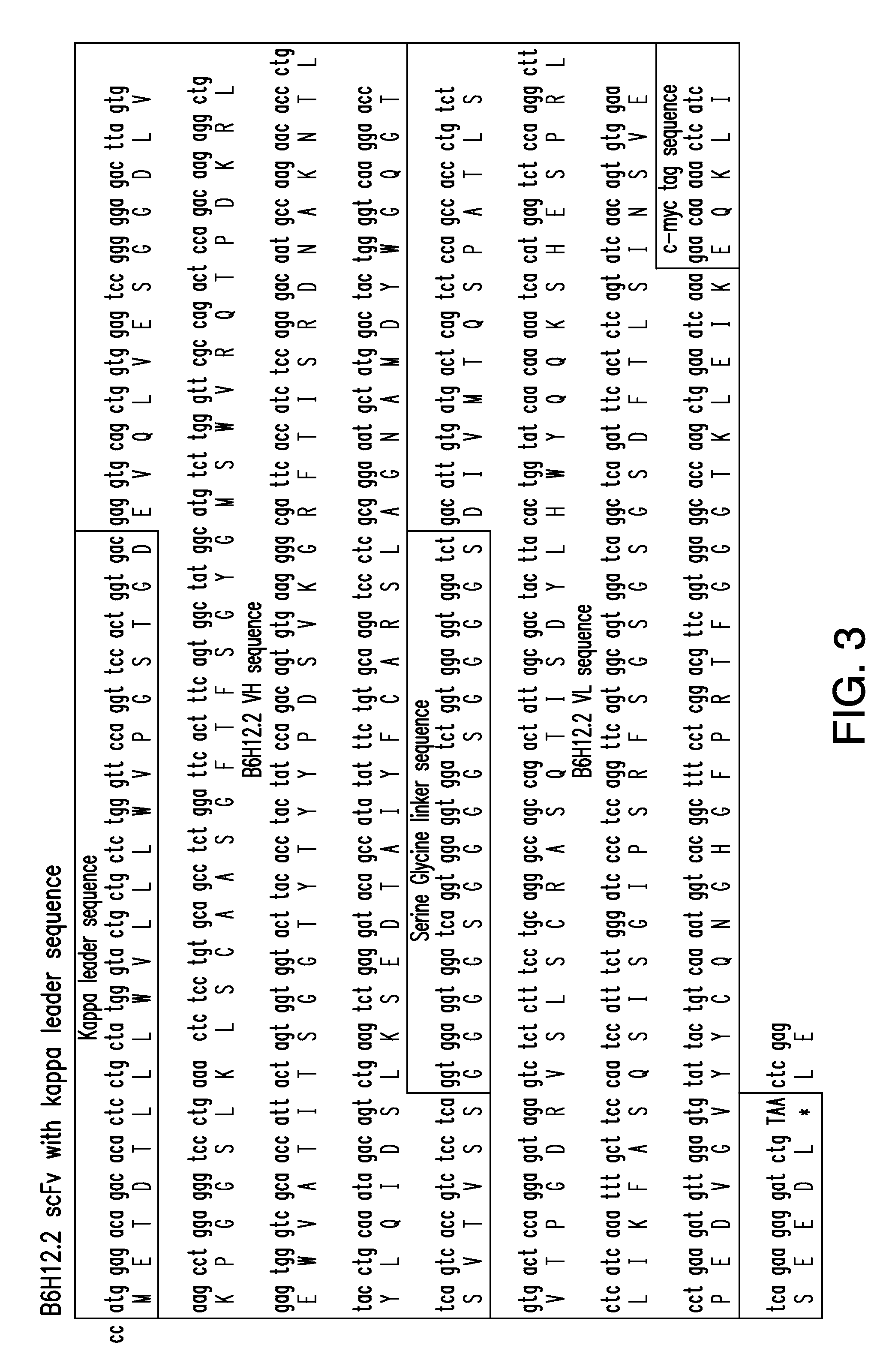 Compositions and methods for immunotherapy