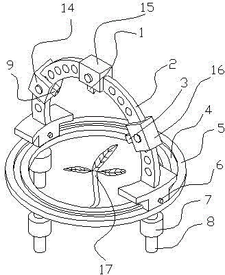 Device and method for detecting content of glutamic acid of tomato leaves by multi-angle in-situ spectrum