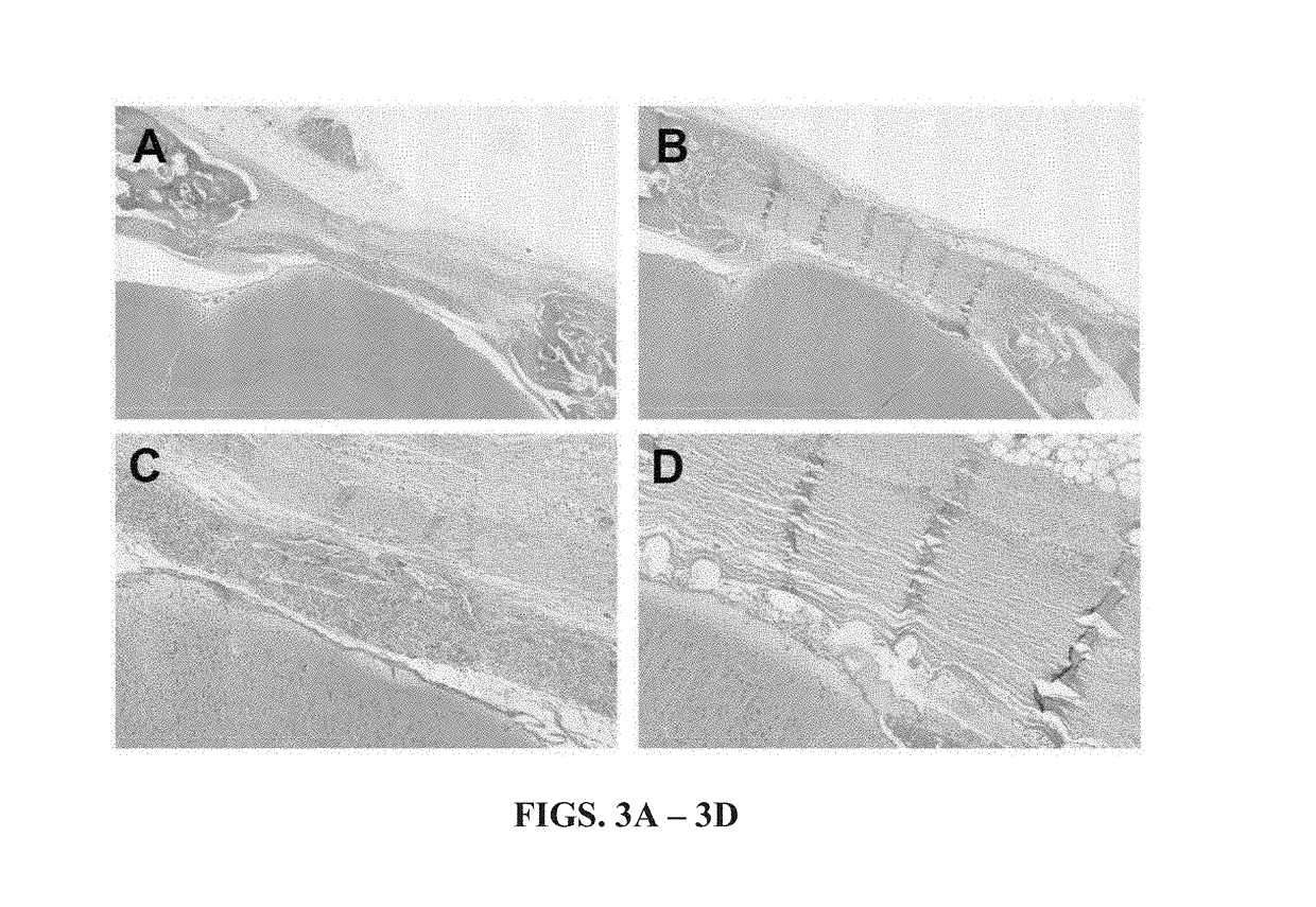 Tissue substitute materials and methods for tissue repair