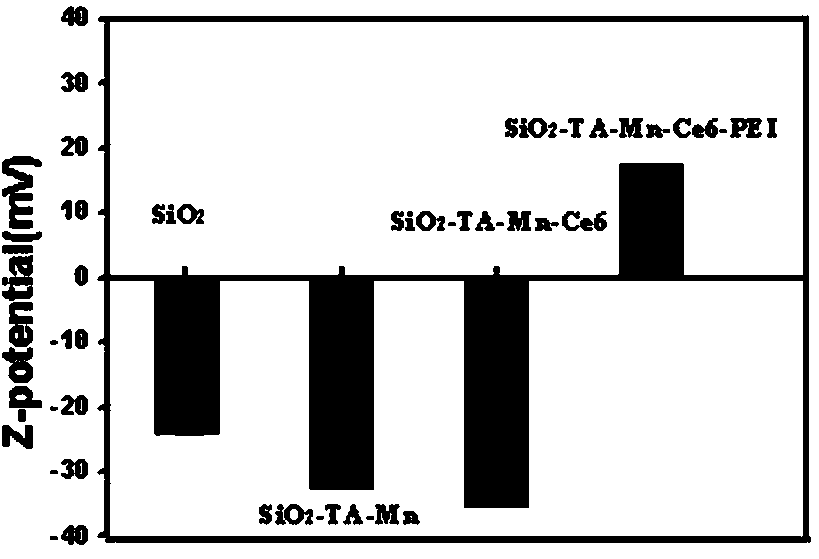 Nuclear magnetic imaging and photodynamic/chemotherapy degradable silicon-based nano diagnosis agent and preparation method thereof