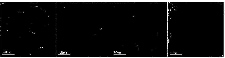 Nuclear magnetic imaging and photodynamic/chemotherapy degradable silicon-based nano diagnosis agent and preparation method thereof