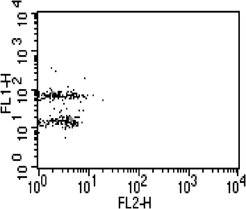 Dimensional flow liquid phase array detection method of fusion protein in leukemia cells