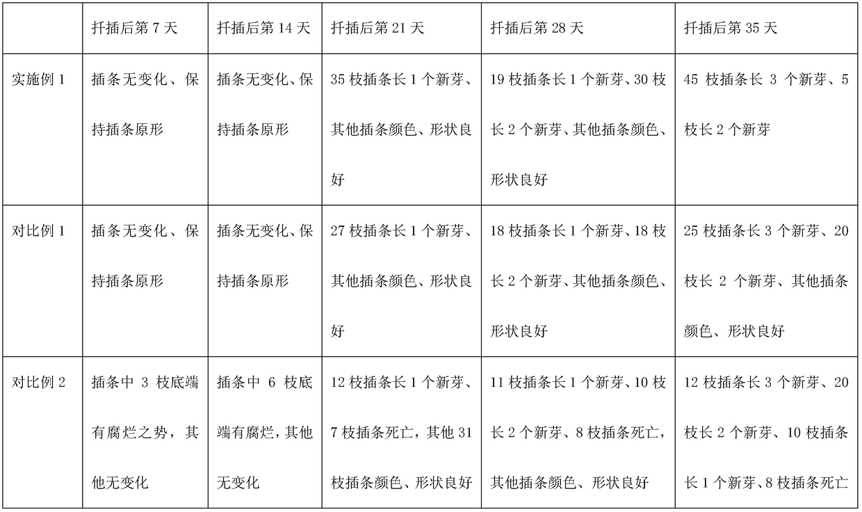 Cultivation method for improving quality of Rosa roxburghii Tratt