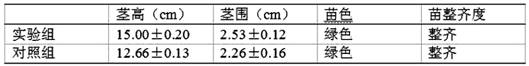 Composition for preventing and treating black rot and black shank of tobacco roots and improving characters and quality