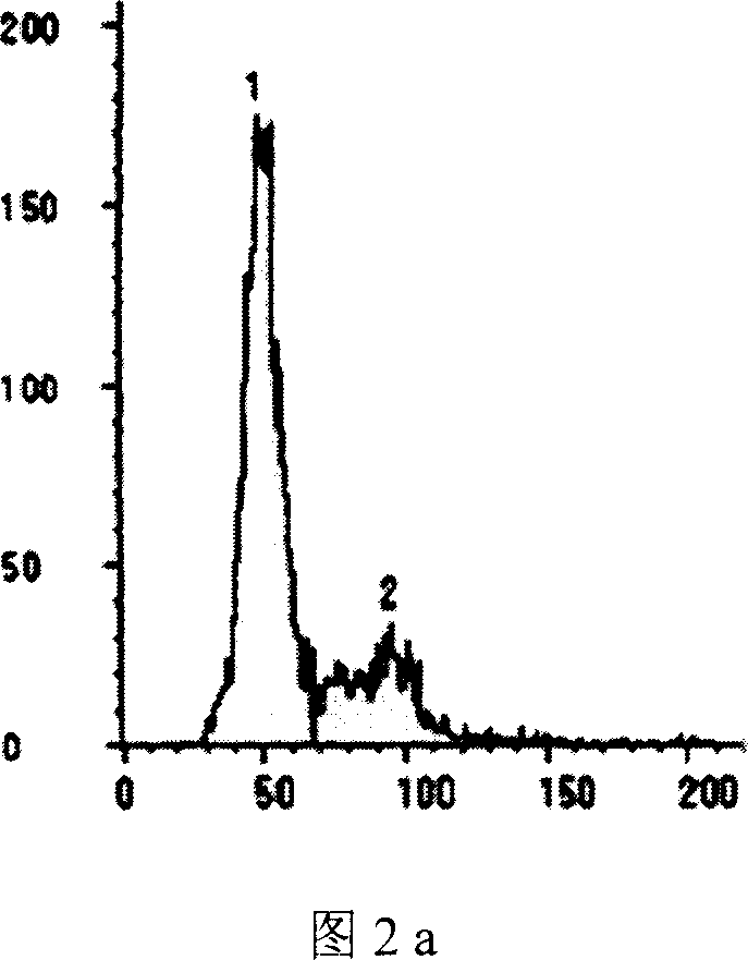 Method of large yellow crocker sperm genetic substance complete deactivation