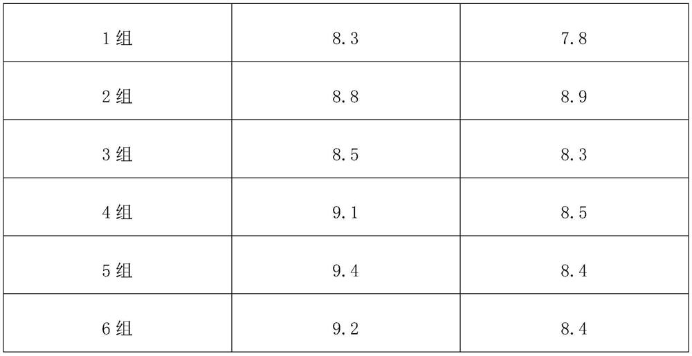 Traditional Chinese medicine preparation for treating rhinitis and preparation method thereof