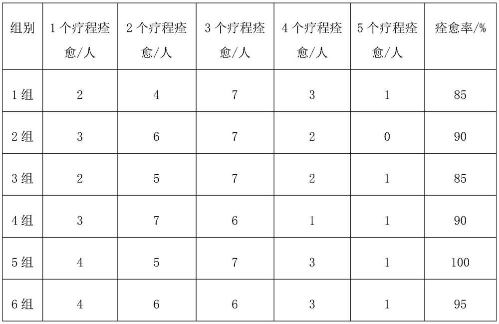 Traditional Chinese medicine preparation for treating rhinitis and preparation method thereof