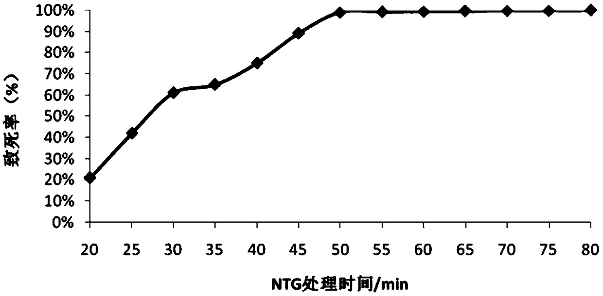 Mutant strain for high yield of gamma-aminobutyric acid and biological agent of mutant strain