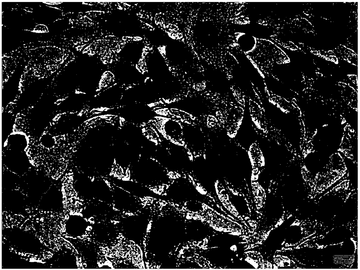 Preparation method of novel iron-oxide nanoparticle and application of nanoparticle to tumor targeted diagnosis and treatment