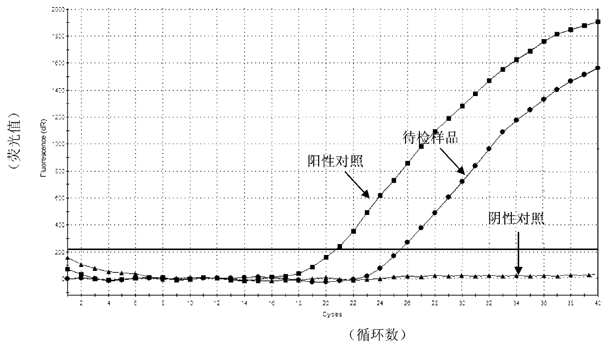 Kit used for detecting sheep pox virus and detection method thereof