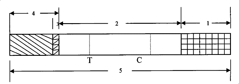 Test paper strip for detecting encephalitis virus IgM antibody colloidal gold, method for making same and applications