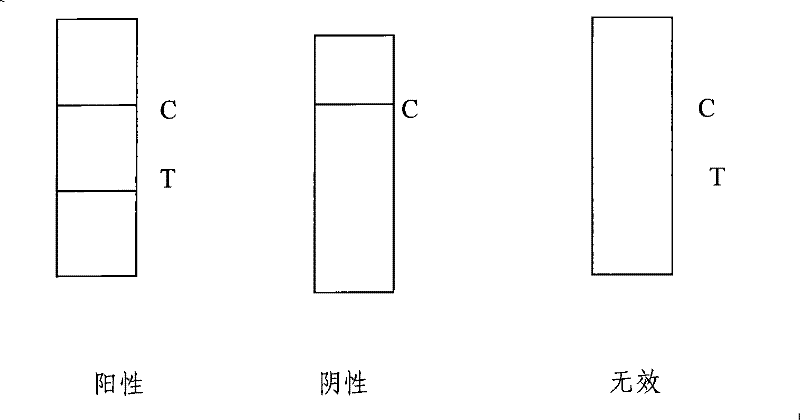 Test paper strip for detecting encephalitis virus IgM antibody colloidal gold, method for making same and applications