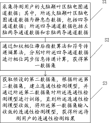 Brain network connectivity detection method and device