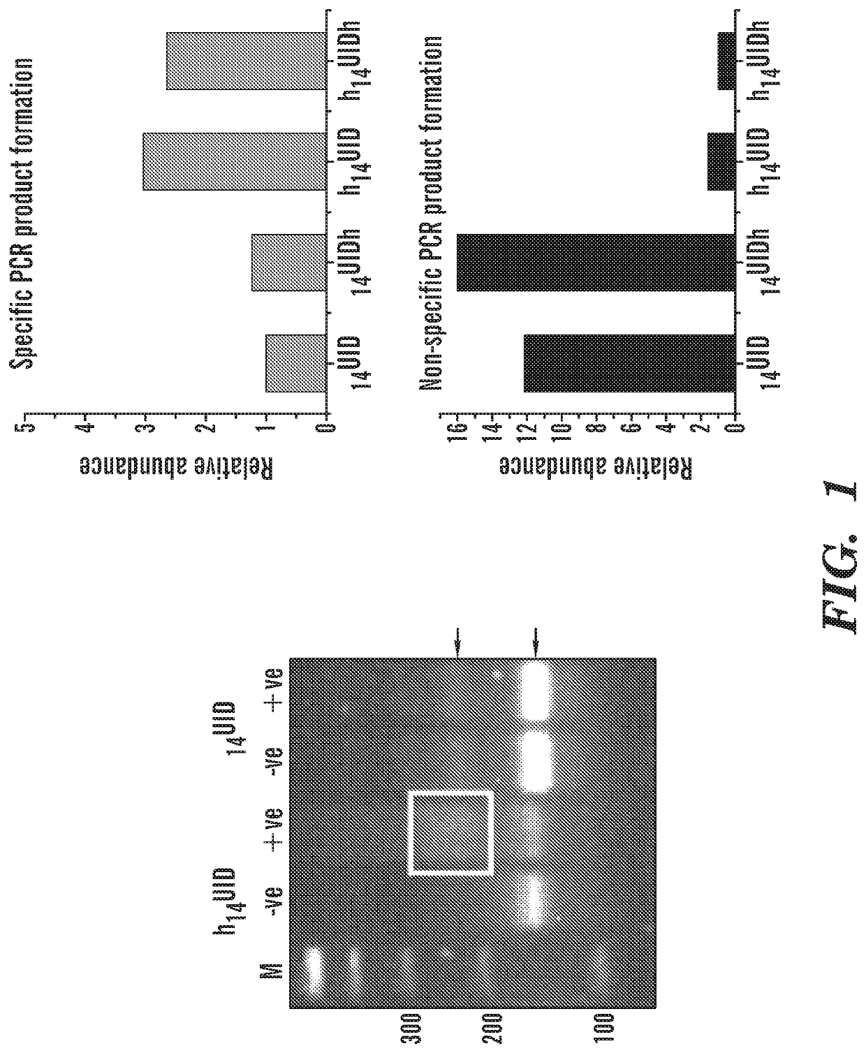 Protection of barcodes during DNA amplification using molecular hairpins