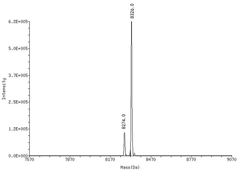 Synthesis method and application of o-phenol thionimine compound of on-DNA