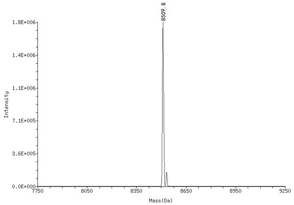 Synthesis method and application of o-phenol thionimine compound of on-DNA