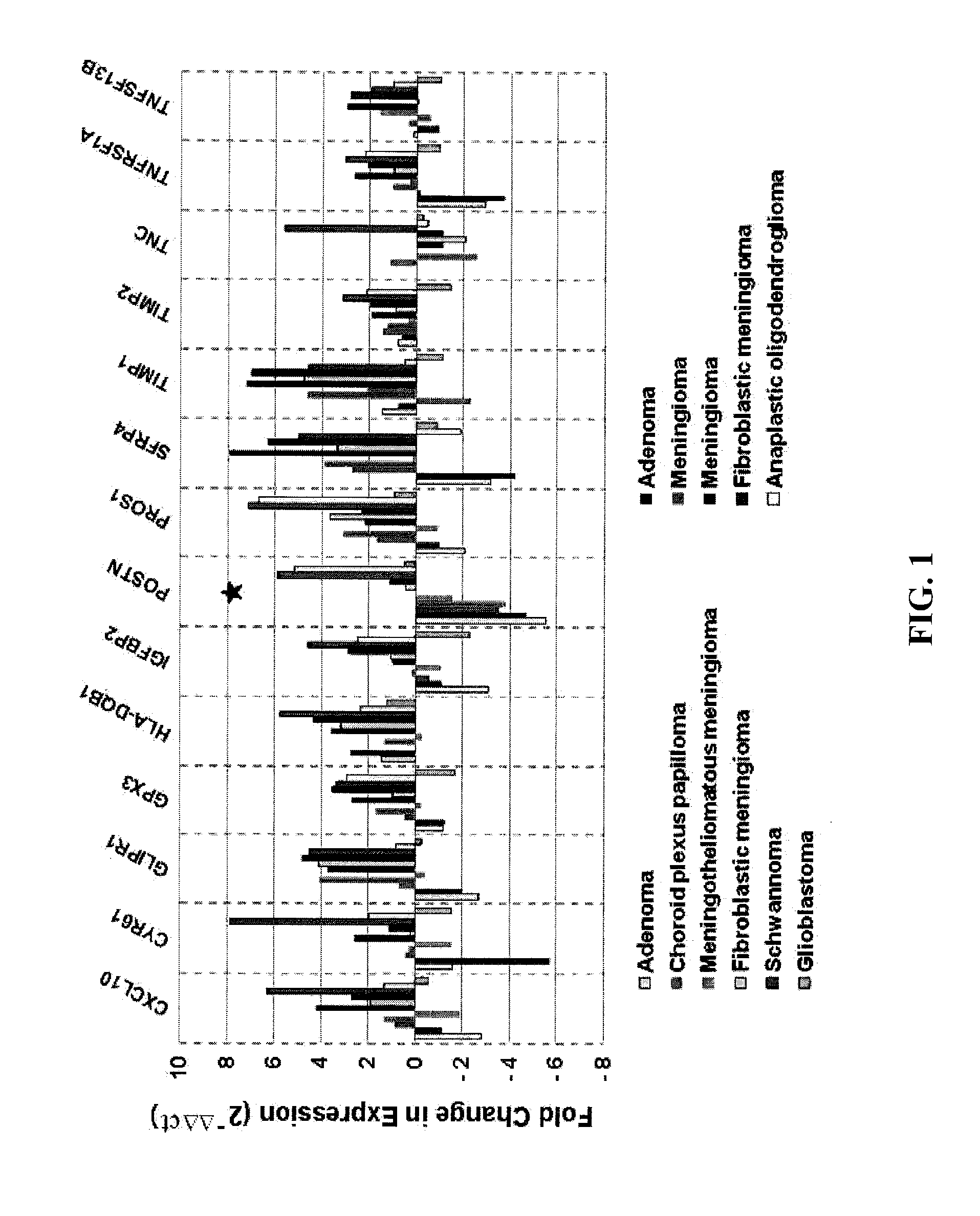 Composition for inducing migration of neural stem cells containing periostin as effective ingredient