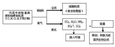 Method for comprehensively utilizing low-concentration heavy metal-containing soil improvement and repairing damaged soil by plants after detoxification of contaminated field