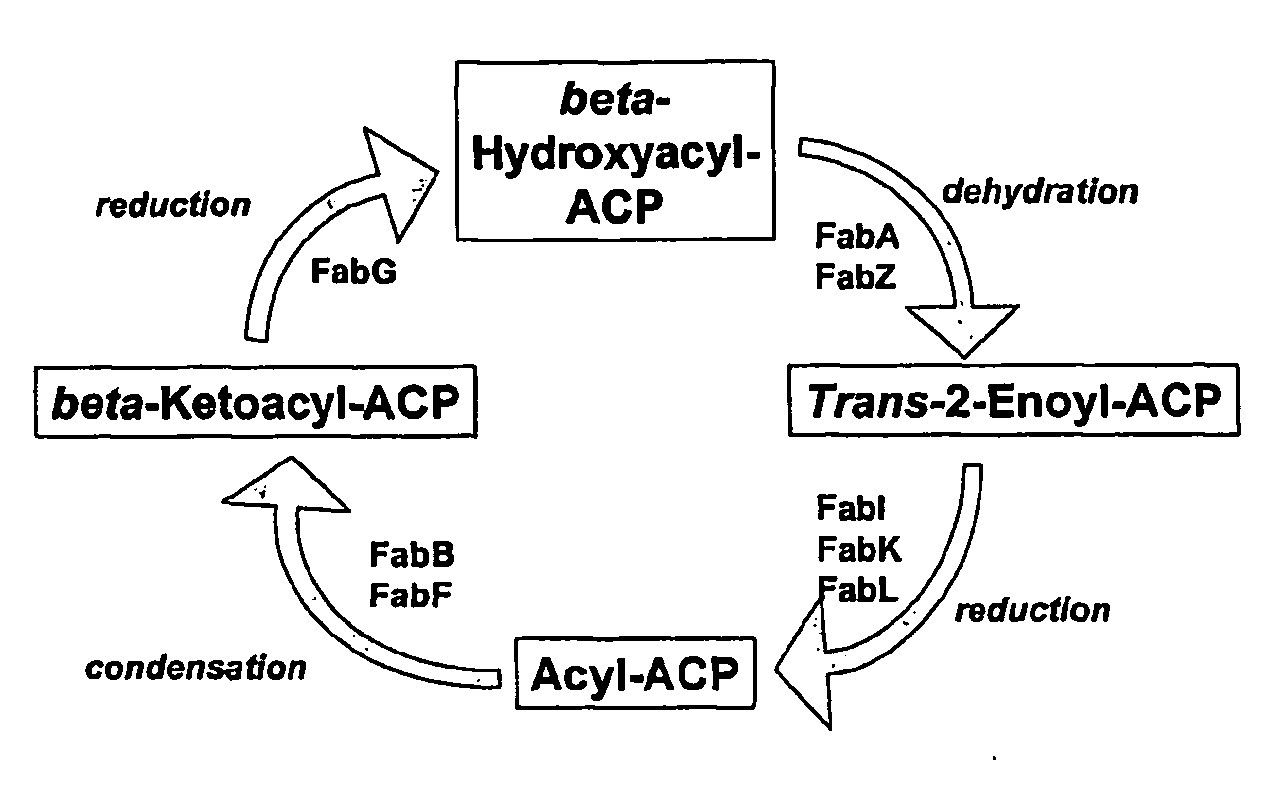 Therapeutic agents, and methods of making and using the same