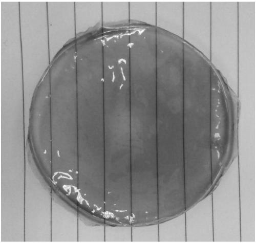 Chiral triptycene polyimide film, preparation method thereof and application of chiral trisphene polyimide film in chiral molecular separation