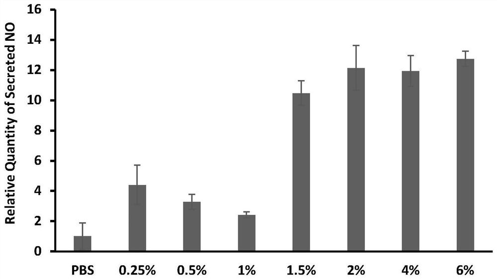 A bisphosphonate drug for inhalation, its preparation method and its use in chronic obstructive pulmonary disease