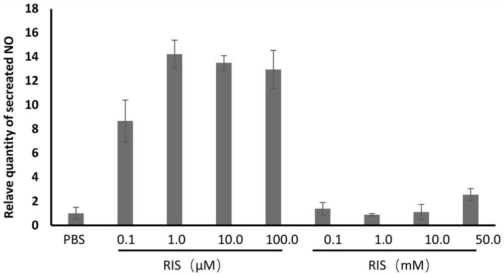 A bisphosphonate drug for inhalation, its preparation method and its use in chronic obstructive pulmonary disease