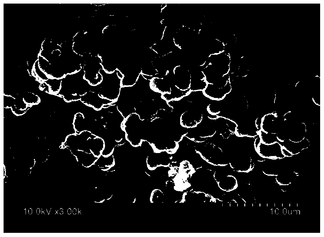 Lignin hard carbon microsphere, hydrothermal preparation method and alkali metal ion battery negative electrode using lignin hard carbon microspheres