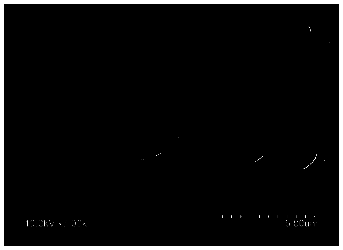 Lignin hard carbon microsphere, hydrothermal preparation method and alkali metal ion battery negative electrode using lignin hard carbon microspheres