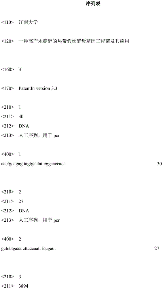 Candida tropicalis gene engineering bacteria for high yield of xylitol and application of xylitol