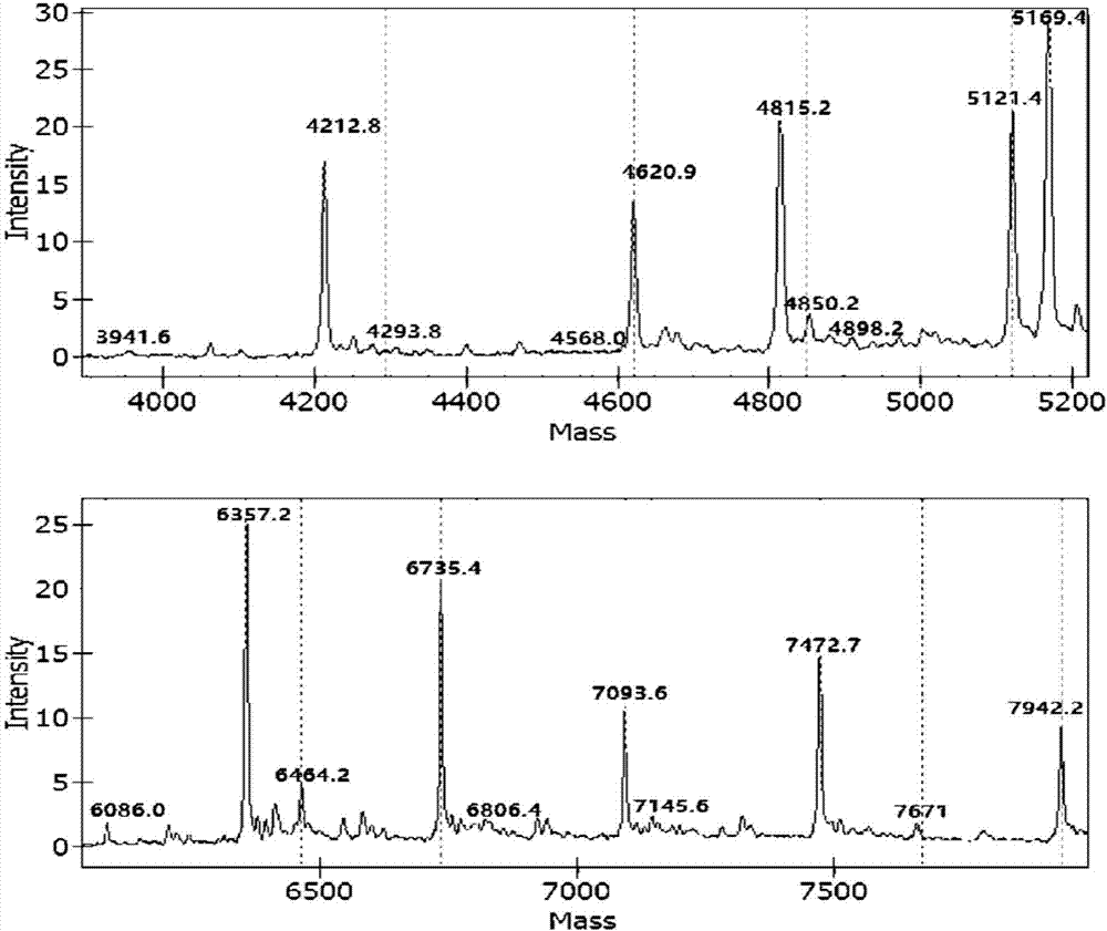 Nucleic acid mass spectrometry method for detecting 10 common pathogenic bacteria of clinical infection