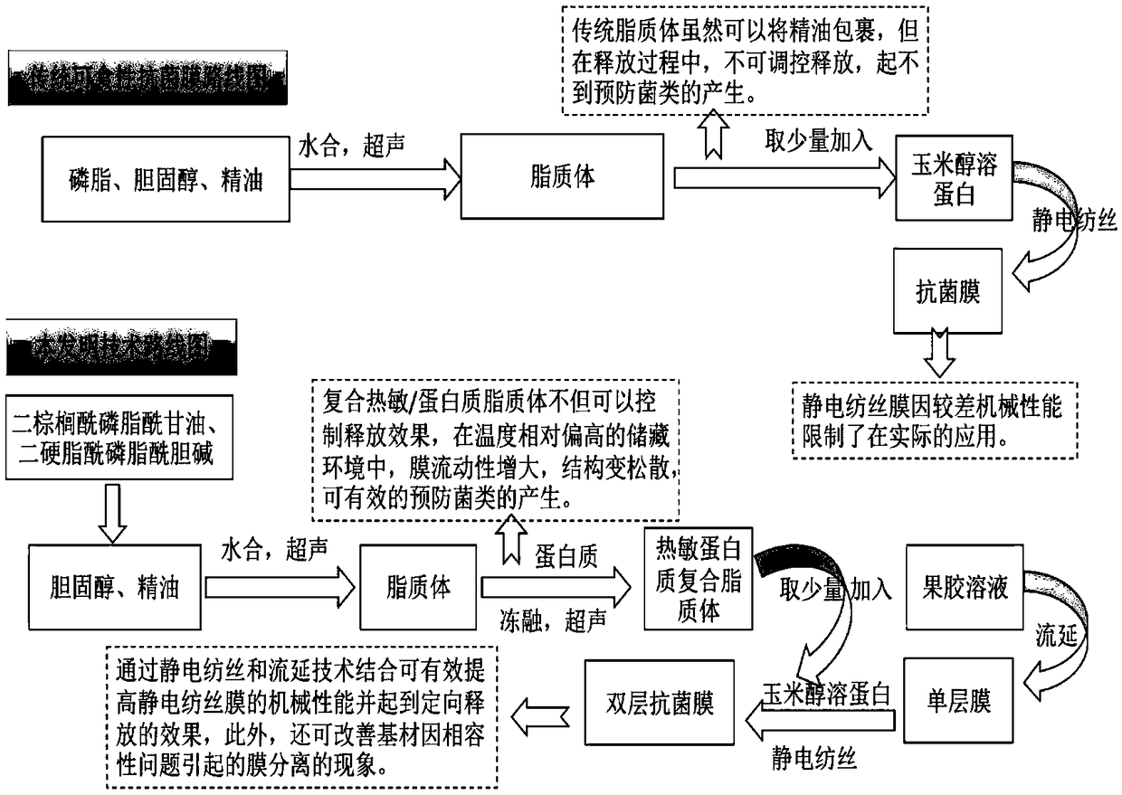 Preparation method of cinnamaldehyde essential oil liposome antibacterial double-layer membrane with regulated releasing