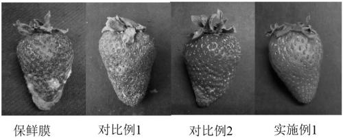 Preparation method of cinnamaldehyde essential oil liposome antibacterial double-layer membrane with regulated releasing