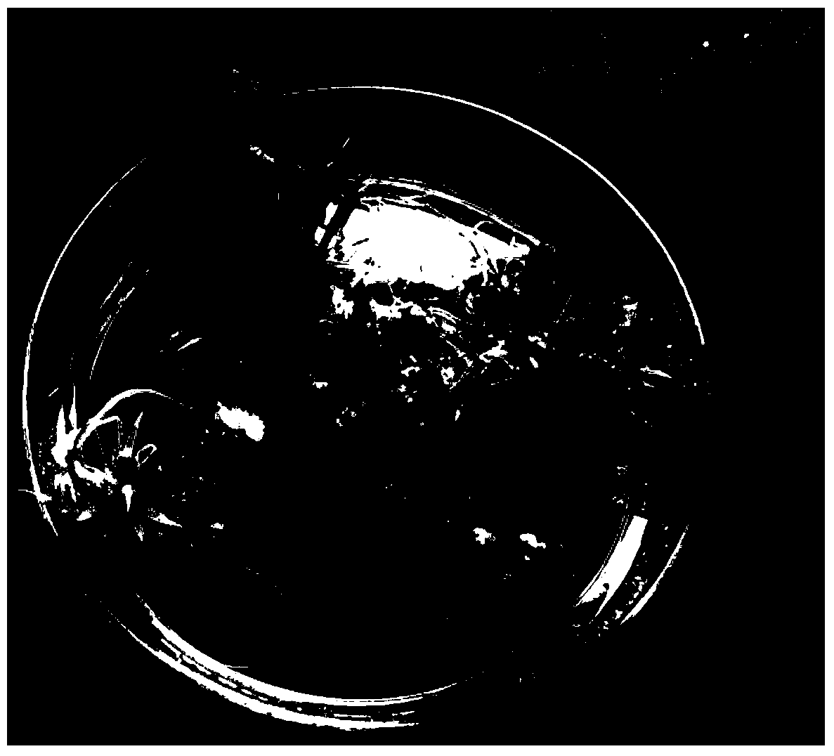 Method for introducing foreign gene into cleistogamy japonica rice by utilizing PMI (phosphomannose isomerase) selection marker