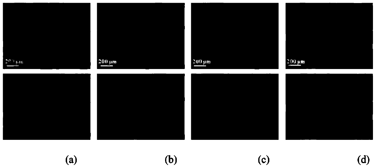 Nano-gold photothermal effect targeted drug delivery complex lipidosome based on polymer modification, implementation method of lipidosome and application of lipidosome