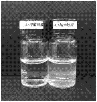 Carrier-free co-assembled tumor targeting anti-cancer nano medicine as well as preparation method and application thereof