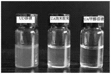 Carrier-free co-assembled tumor targeting anti-cancer nano medicine as well as preparation method and application thereof