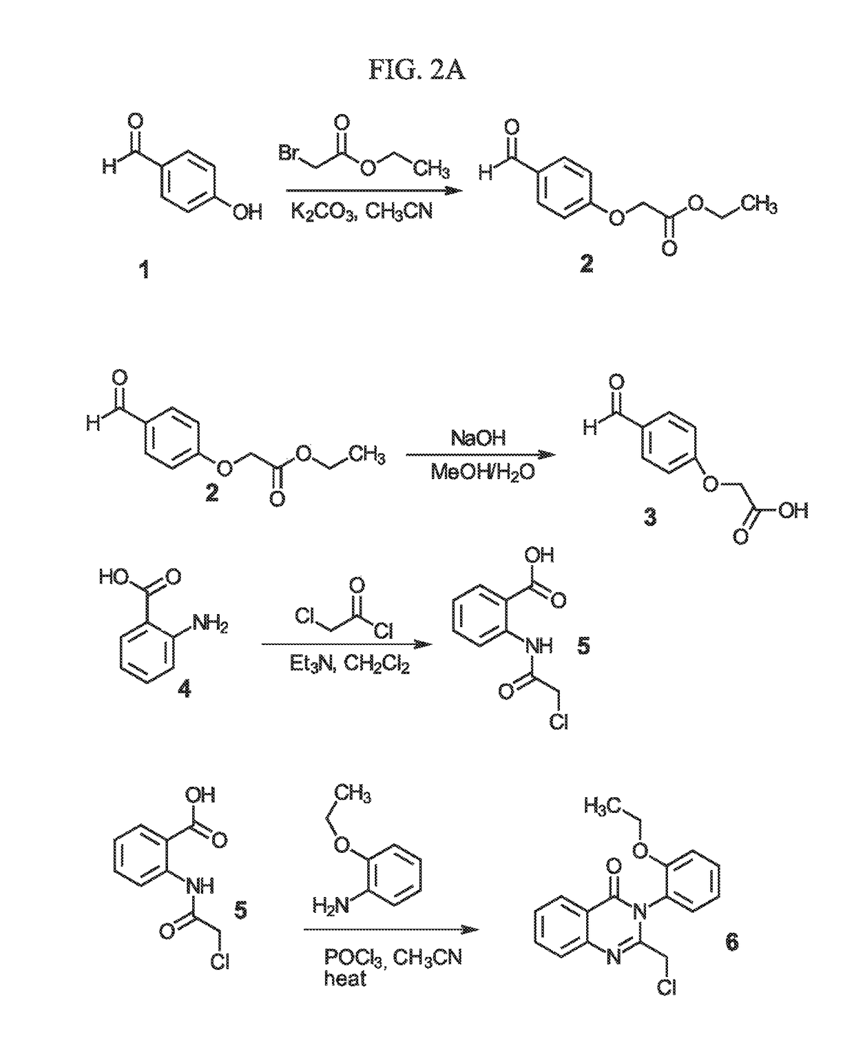 Sigma-2 receptor ligand drug conjugates as antitumor compounds, methods of synthesis and uses thereof