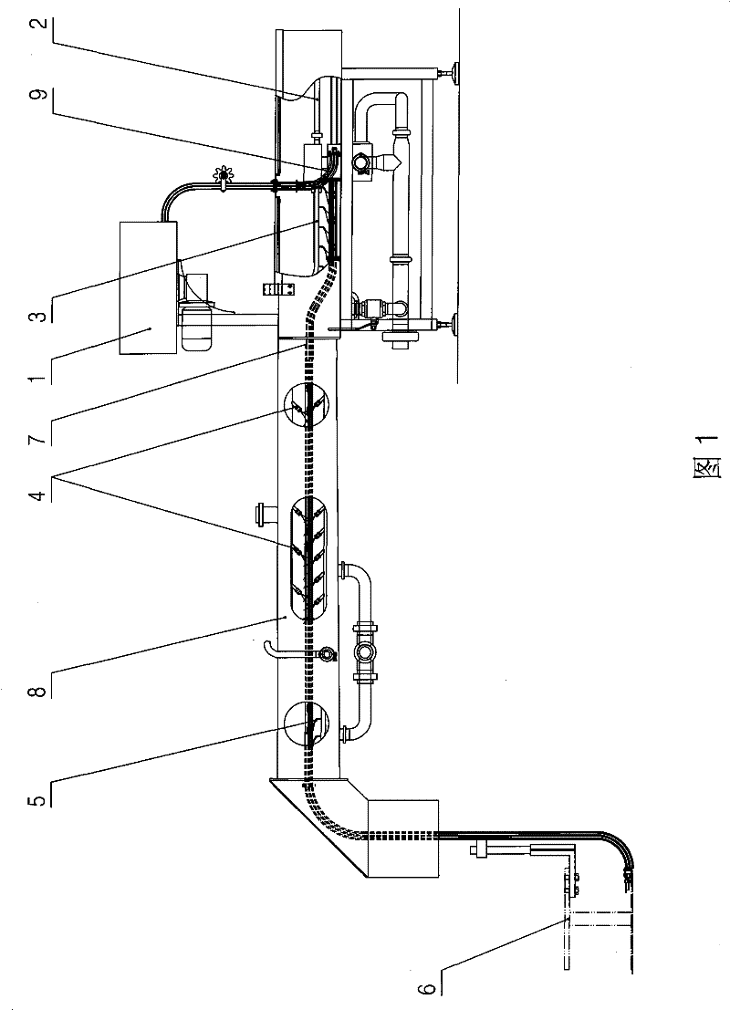 Disinfection machine for bottle cap