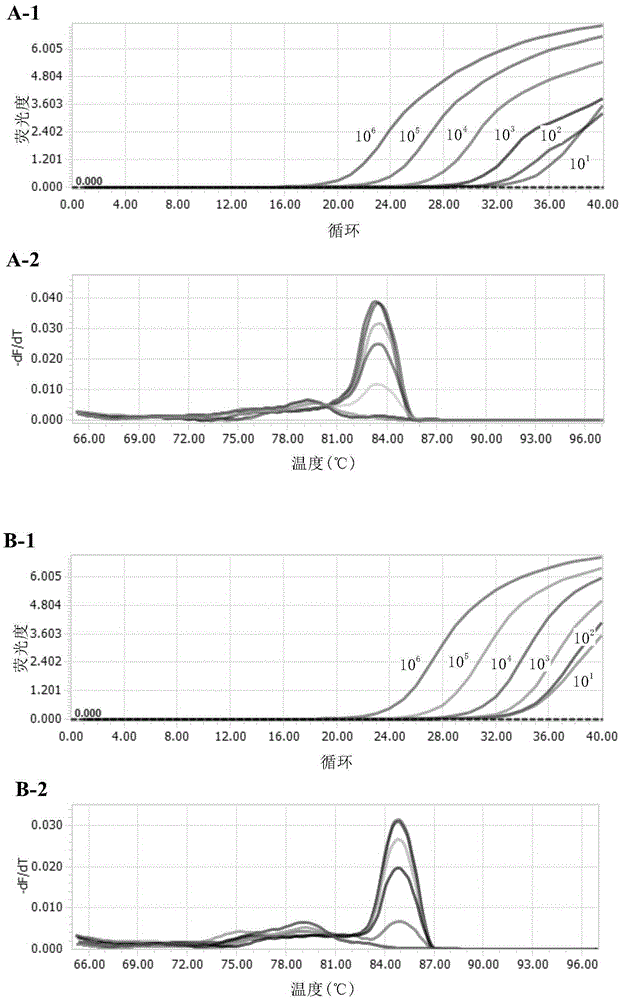 Real-time fluorescence multi-RT-PCR (Reverse Transcription-Polymerase Chain Reaction) method for simultaneously detecting human coronaviruses 229E, OC43, NL63 and HKU1