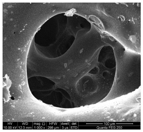 A kind of three-dimensional network silicon carbide reinforced metal matrix composite material and preparation method