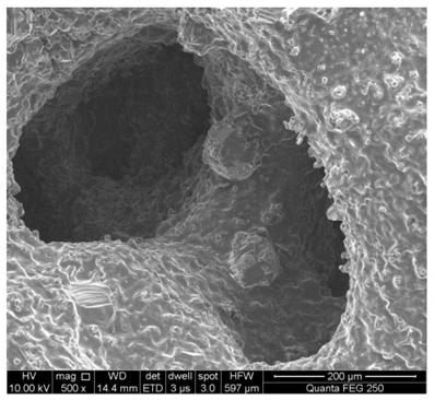 A kind of three-dimensional network silicon carbide reinforced metal matrix composite material and preparation method