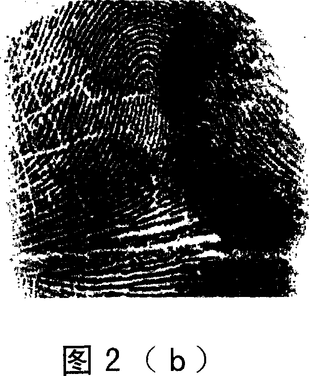 Automatic fingerprint classification system and method