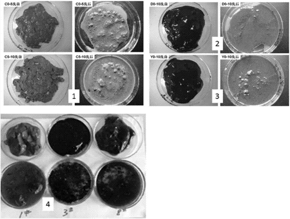 Method for promoting natural growth of submerged plants by increasing transparency of black and odorous water body