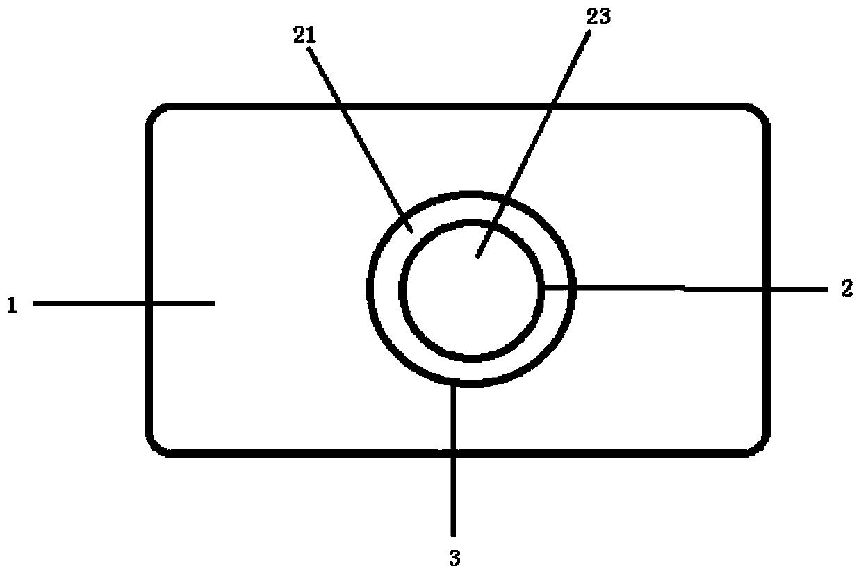 Implantable observation device for animal liver living body imaging