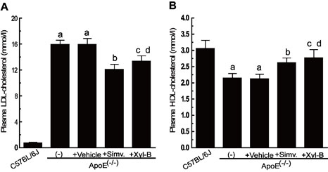 Application of Xyloketal B in preparing antiatherosclerotic medicaments